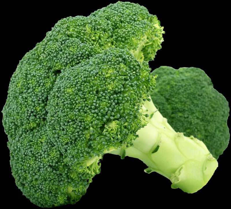 Cheese and Vegetables
